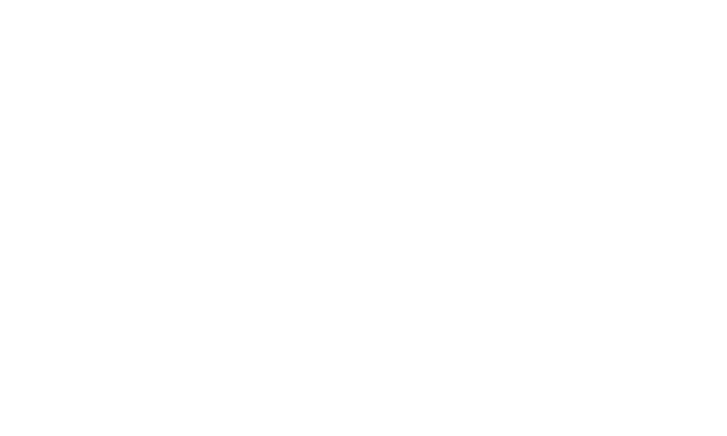 Deco Joe